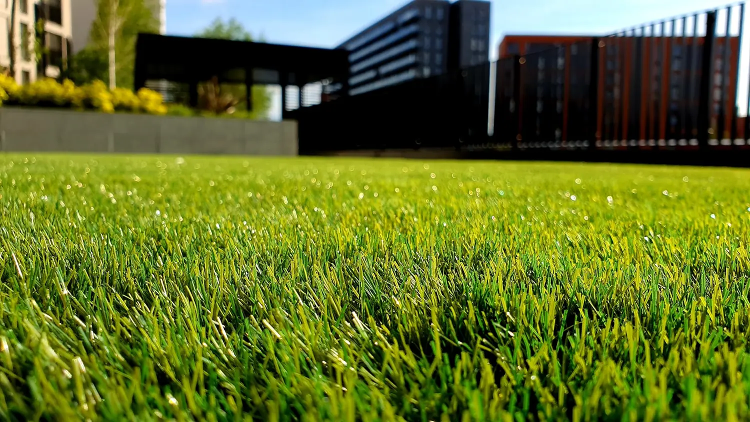 Fresh, healthy mown lawn